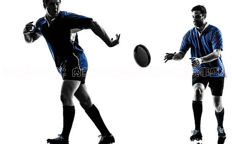 非凡体育官网华扬联众呼伦贝尔之巅：内蒙古呼和浩特地区的运动赛事盛况