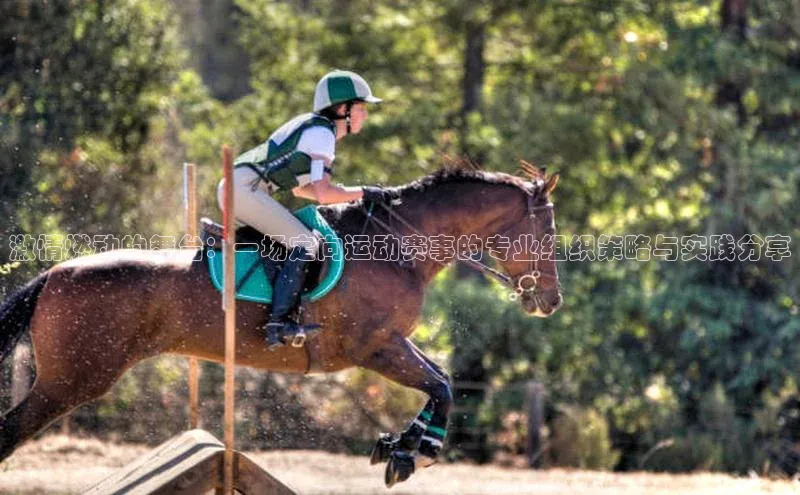 激情燃动的舞台：一场定向运动赛事的专业组织策略与实践分享