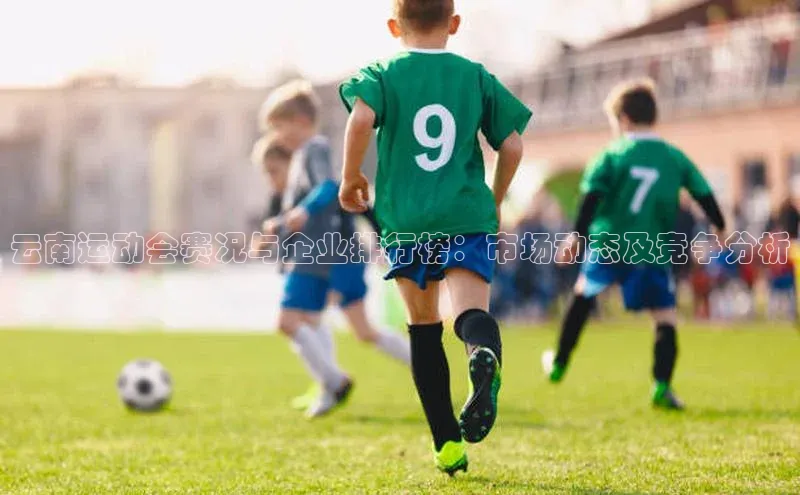 云南运动会赛况与企业排行榜：市场动态及竞争分析