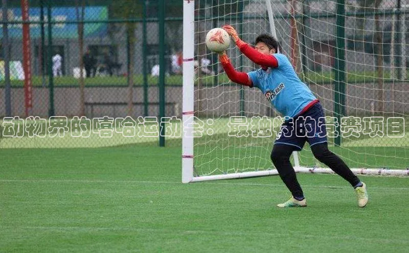 动物界的嘻哈运动会：最独特的竞赛项目