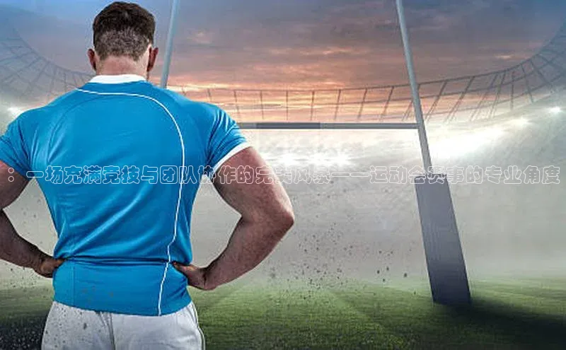 ：一场充满竞技与团队协作的完美风暴——运动会赛事的专业角度