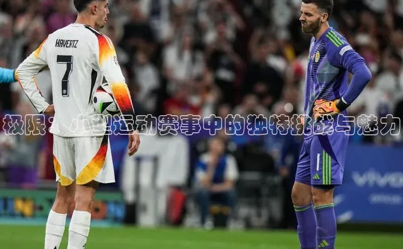 极限：小型运动赛事中的独特挑战与魅力