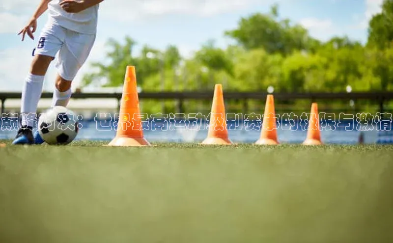 巅峰对决：世界最高运动级别赛事的极限与激情