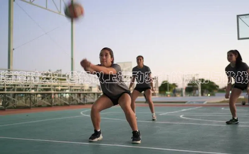 巅峰对决：省级以上运动赛事的激情与挑战