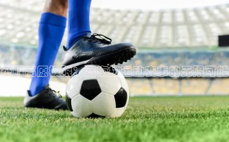 征服高原极限：高海拔运动赛事的无限可能