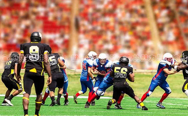 非凡体育2121平台下载